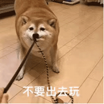 女老师在家直播涉黄被封，被网课逼疯的中国老师们....