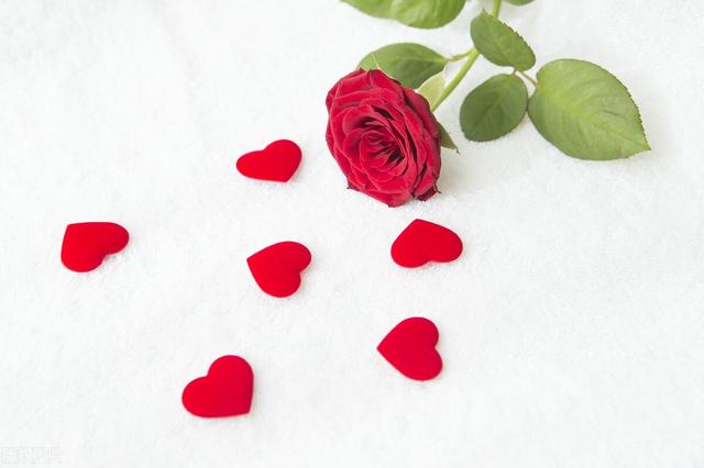 哪怕红颜不是祸水，女人心计男人也要适度提防