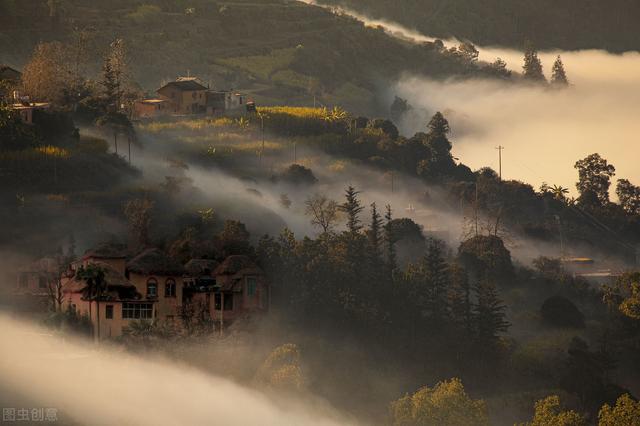 各大网文站点介绍与适合新人签约模式