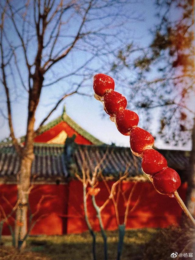 杨幂最新蓝发造型