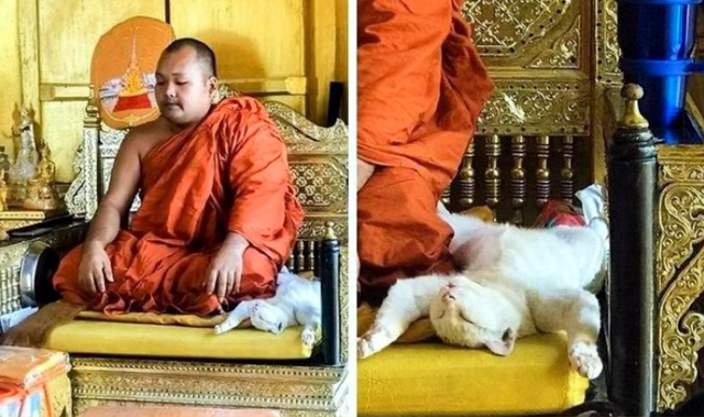 30个捕捉到的完美镜头，时机把握得太巧妙了