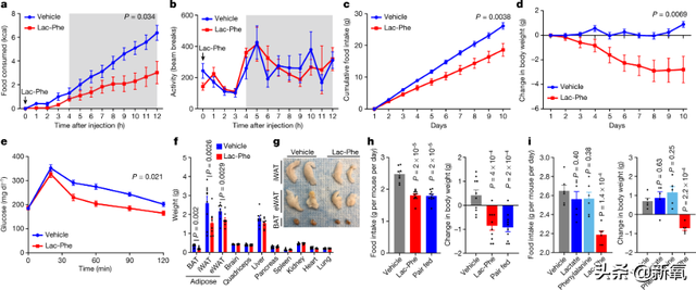 路拍被质疑体脂太低像树皮?可她这身材却成为万千少女的理想型…
