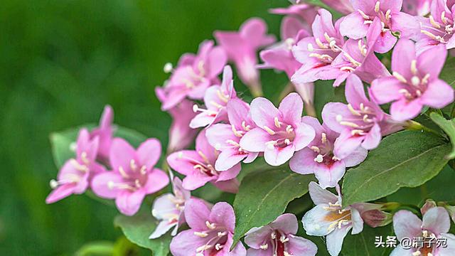 怎样和女生聊天才能引起女生的兴趣