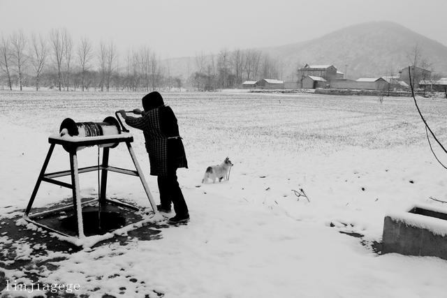 辘轳女人井和狗
