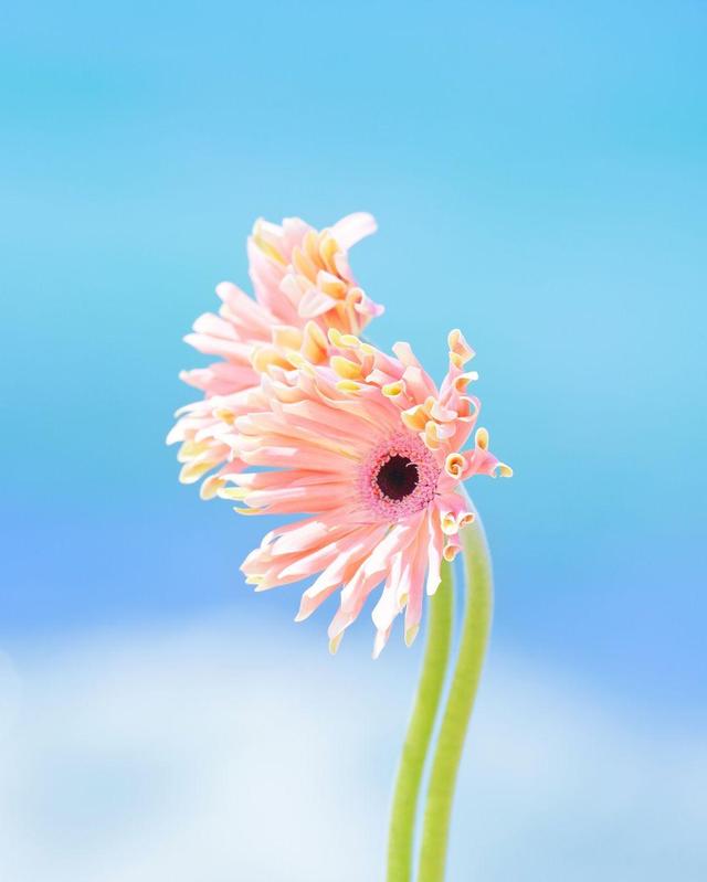 适合女生发朋友圈的简短唯美说说,发朋友圈人人点赞!