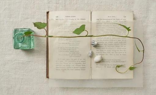 平凡的生活，只要坚持，也会有春天，也会在春天里开出一朵小花