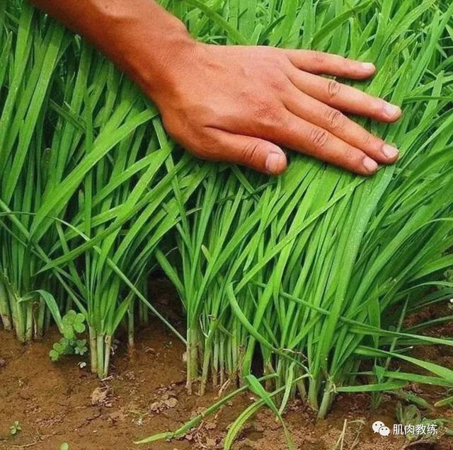 2021女生身高体重对照表，你达标了吗？