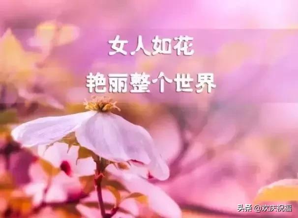女人节!问候!送给天下所有的女人