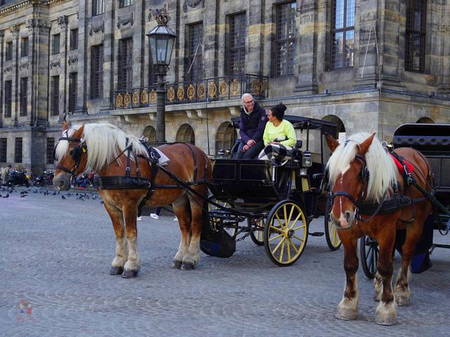 暴走阿姆斯特丹,看“百无禁忌”的“性都”到底是个什么样?