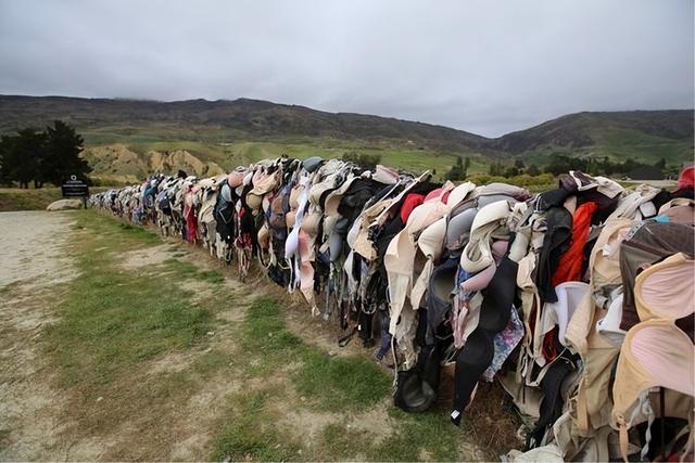 新西兰“内衣墙”:女性到这自愿脱掉内衣,当地男性却请求拆除