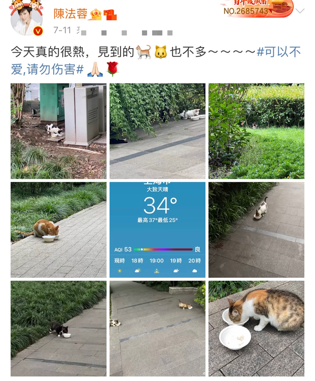 港圈四大女神齐热舞,身材纤细长腿瞩目,穿衣大胆舞姿不输女团