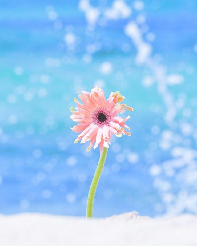 适合女生发朋友圈的简短唯美说说,发朋友圈人人点赞!