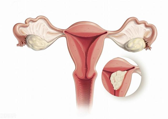 女性阴道有多长？形状有哪些？医生告诉你真相，涨知识了