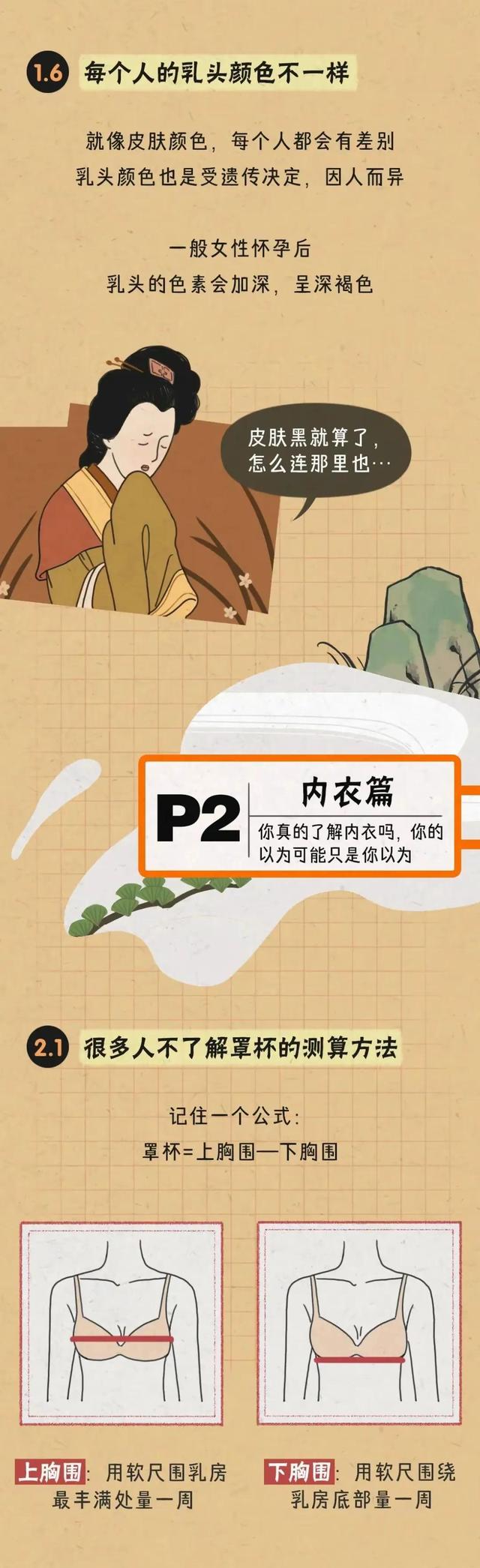 女生胸部可以分为几种?