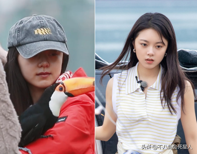 6大娱乐圈全员素颜名场面,卸了妆的女星比美,才是真的刺激