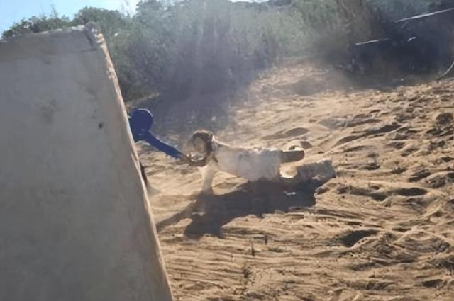 赵丽颖片场练武太霸气！单手挥长棍力气巨大，跪地上拉伸不嫌脏乱