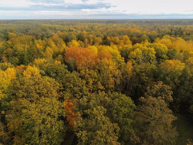 倒爷老皮俄罗斯遇险,和美女安妮的爱情故事,惊险刺激,你听吗