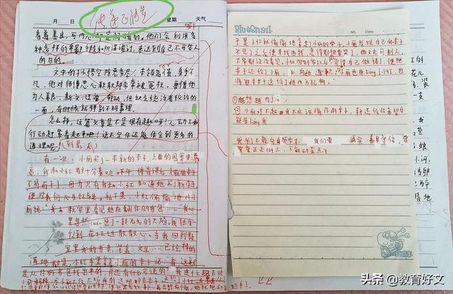 五年级学生作文被老师批评后坠楼让我想起一位女星50多年前的作文