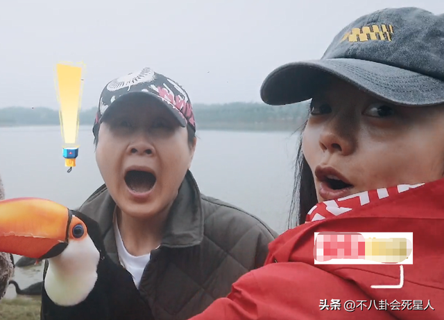 6大娱乐圈全员素颜名场面,卸了妆的女星比美,才是真的刺激