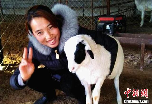 蒙古族姑娘郭丽丽：从都市“小白领”到返乡创业“新农人”