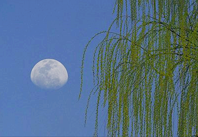 前秦风云：12、隐士名士︳第五节：英雄要过美人关