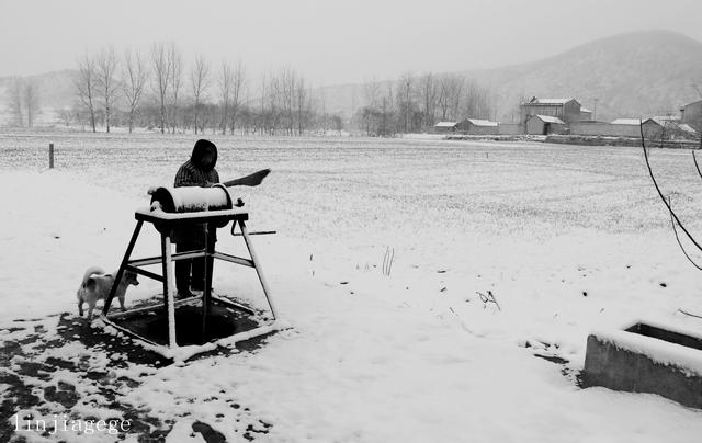 辘轳女人井和狗