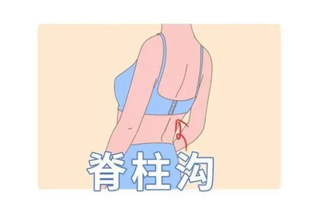 关于女生胸部的冷知识，你都知道吗？（第三集）