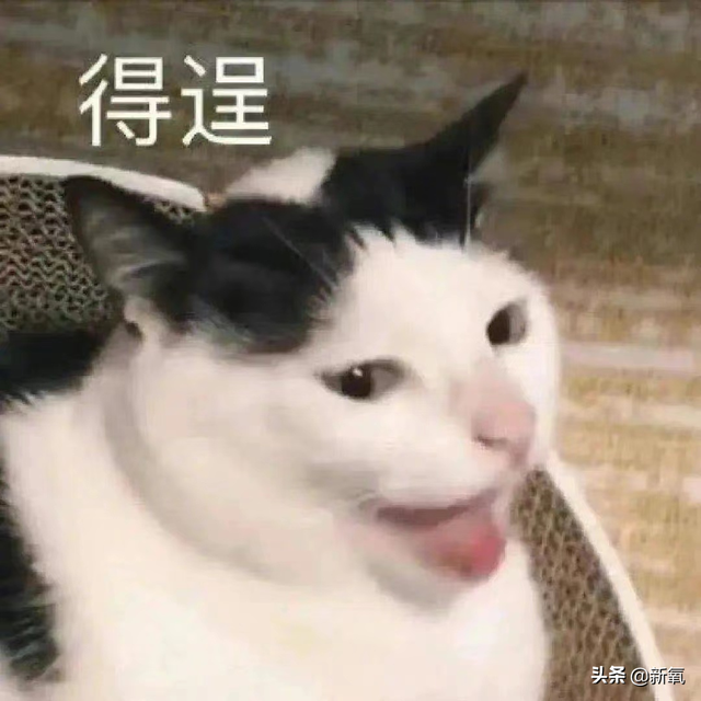 路拍被质疑体脂太低像树皮?可她这身材却成为万千少女的理想型…