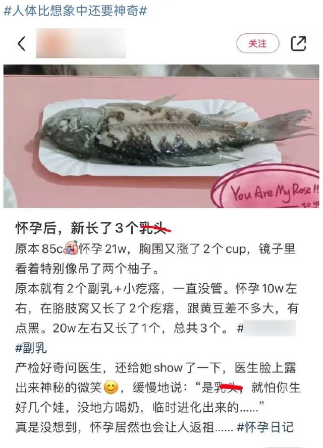 长三个乳头,是进化还是返祖?