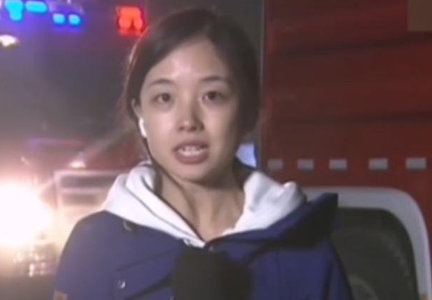 央视10大美女主持人,个个才貌双全,董卿知性,海霞端庄