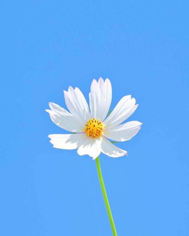 适合女生发朋友圈的简短唯美说说,发朋友圈人人点赞!