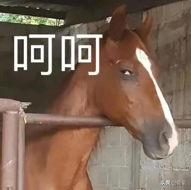 路拍被质疑体脂太低像树皮?可她这身材却成为万千少女的理想型…