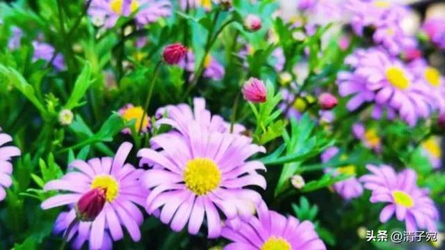 怎样和女生聊天才能引起女生的兴趣