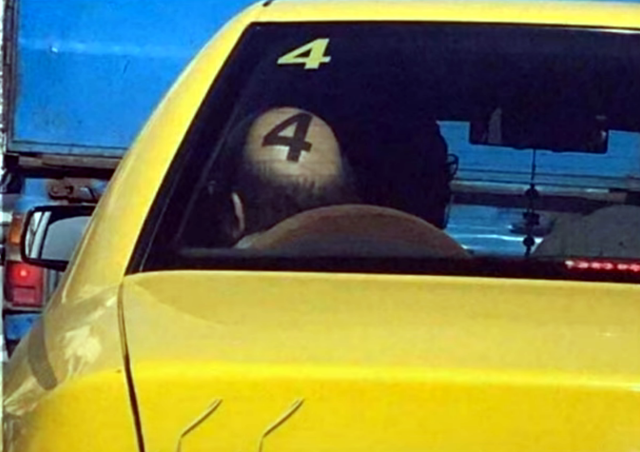 30个捕捉到的完美镜头，时机把握得太巧妙了