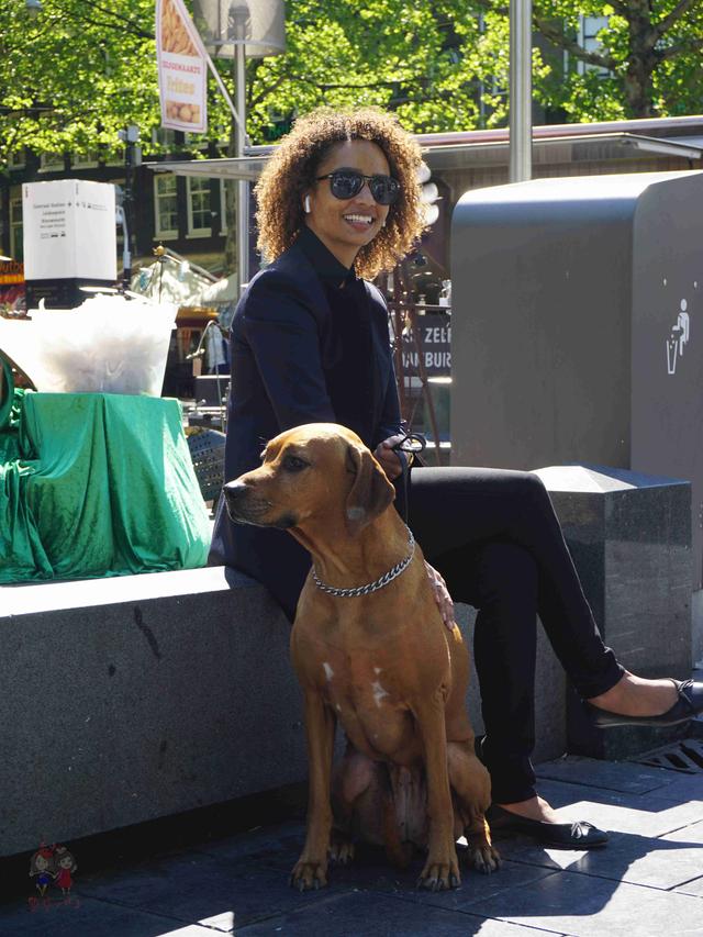 暴走阿姆斯特丹,看“百无禁忌”的“性都”到底是个什么样?