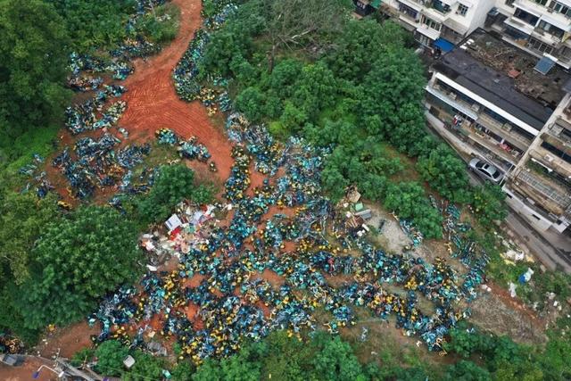 “快扶我起来吧！”小区后山每晚传来女声求救！真相竟是…