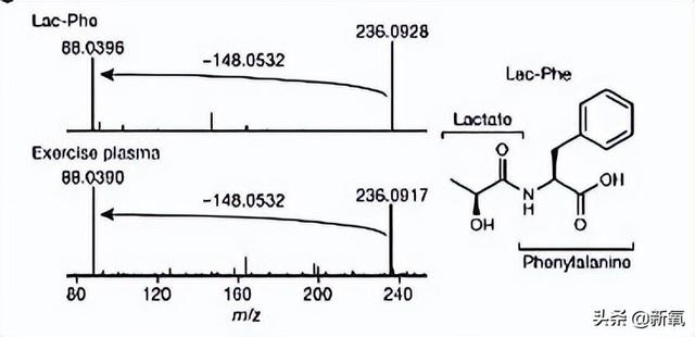 路拍被质疑体脂太低像树皮?可她这身材却成为万千少女的理想型…