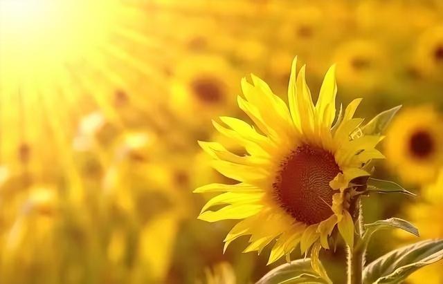 三观震碎!女子发万字长文哭诉:中山大学教授是伪君子,玩弄感情