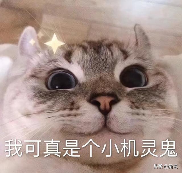 路拍被质疑体脂太低像树皮?可她这身材却成为万千少女的理想型…