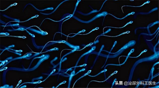 男性一生最多只能排6000次精？这几个精液知识，男女都应知道