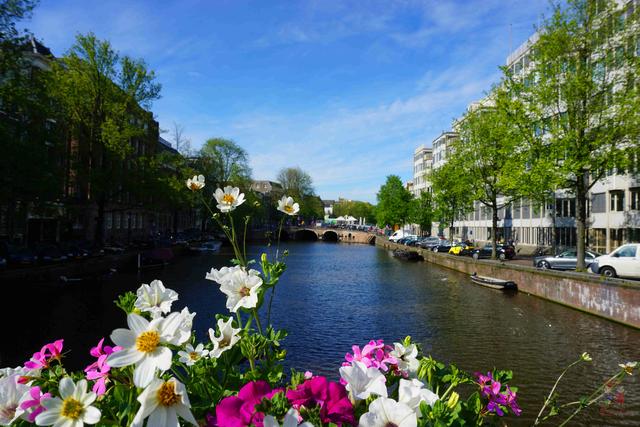 暴走阿姆斯特丹,看“百无禁忌”的“性都”到底是个什么样?