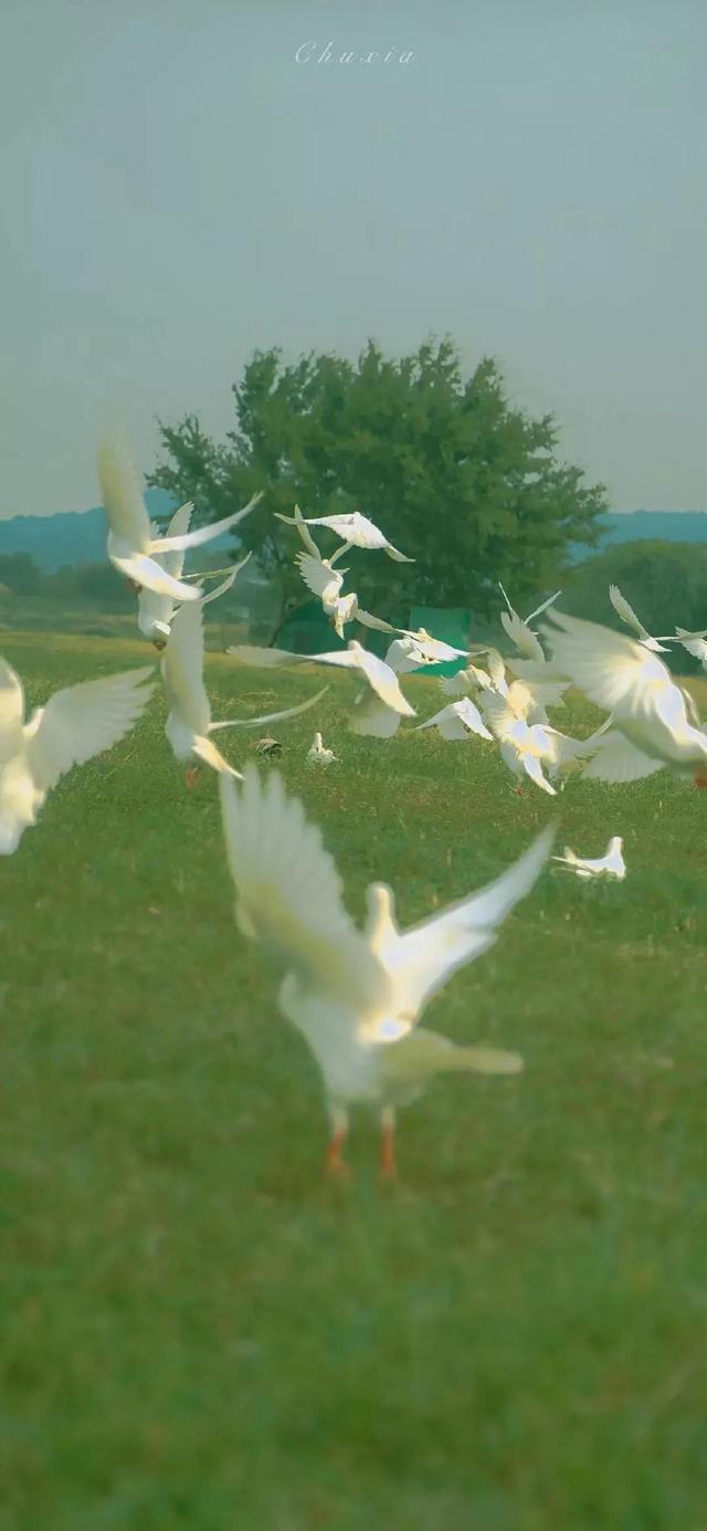 谢谢你的陪伴，让我们共同度甜蜜姐弟日