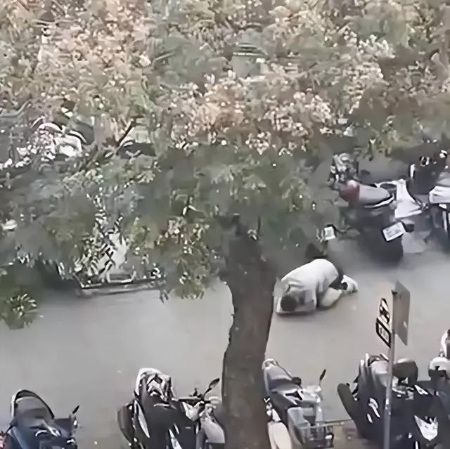 00后女孩商场跪地脱衣？原因曝光令人唏嘘：就为这，值得吗…