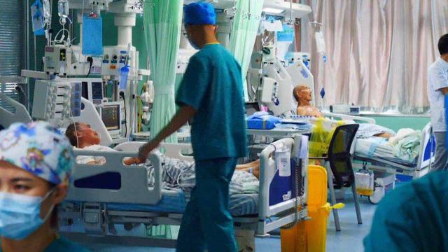 遇到马蜂“上身”,最正确的做法是什么?