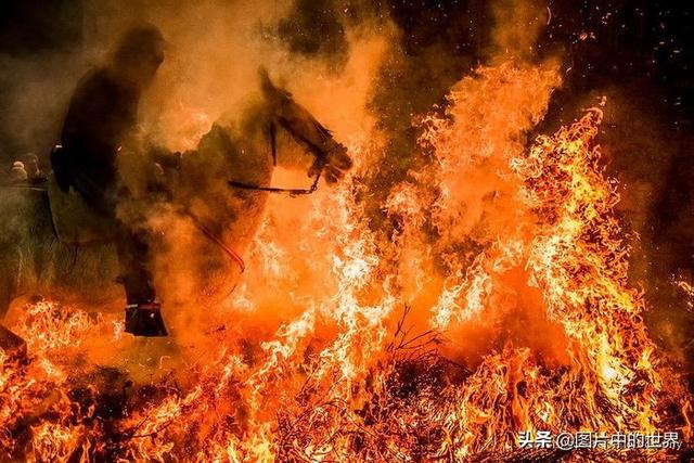 30张照片看世界：集中营18岁的俄罗斯姑娘，日本发现的美人鱼