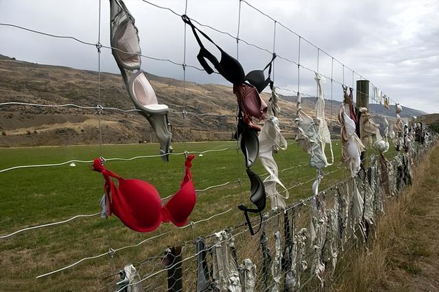 新西兰“内衣墙”:女性到这自愿脱掉内衣,当地男性却请求拆除