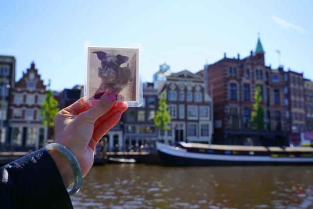 暴走阿姆斯特丹,看“百无禁忌”的“性都”到底是个什么样?