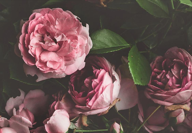 女人爱上了一个“有妇之夫”，多半，只有这一个结局