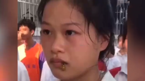 遇到马蜂“上身”,最正确的做法是什么?