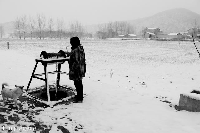 辘轳女人井和狗